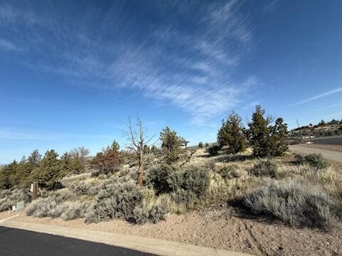 Photo of 1700 Kemper Way 5 of 17