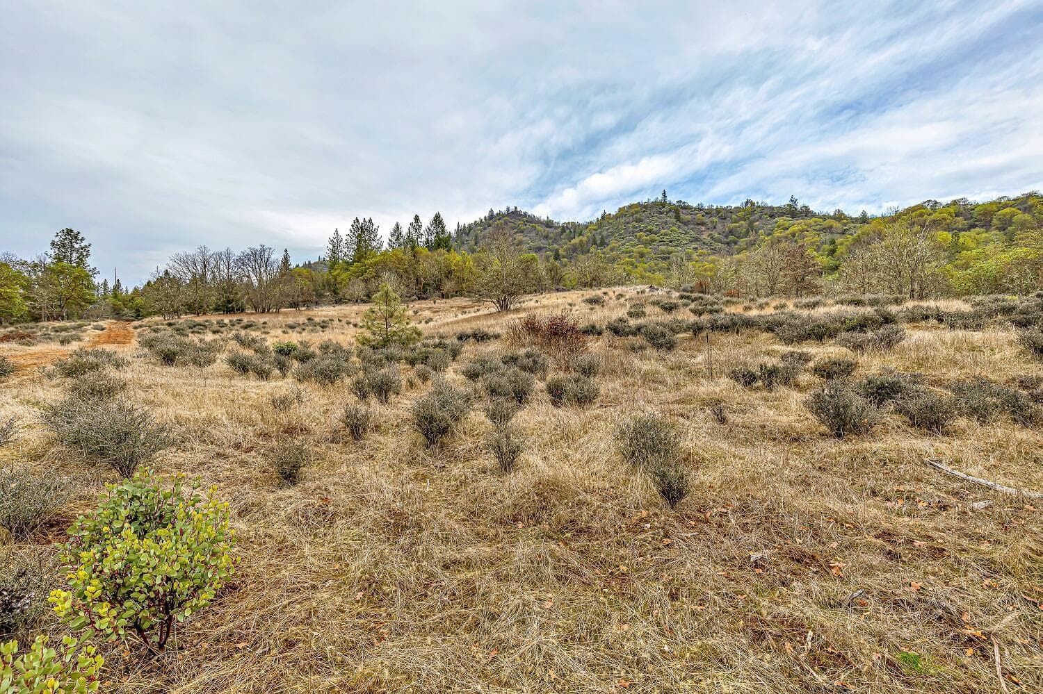 Photo of 0 Sykes Creek 2 of 15