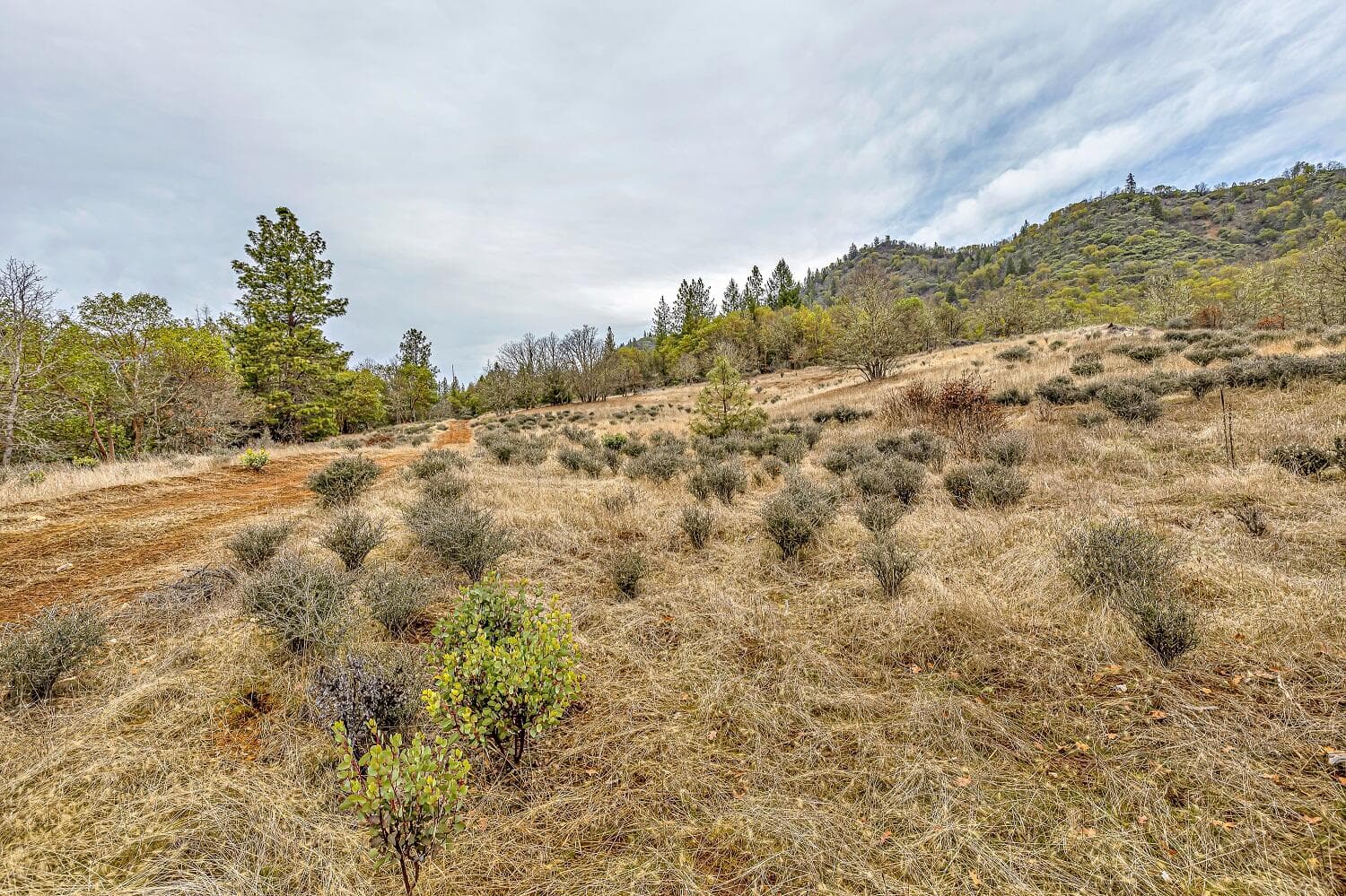 Photo of 0 Sykes Creek 3 of 15