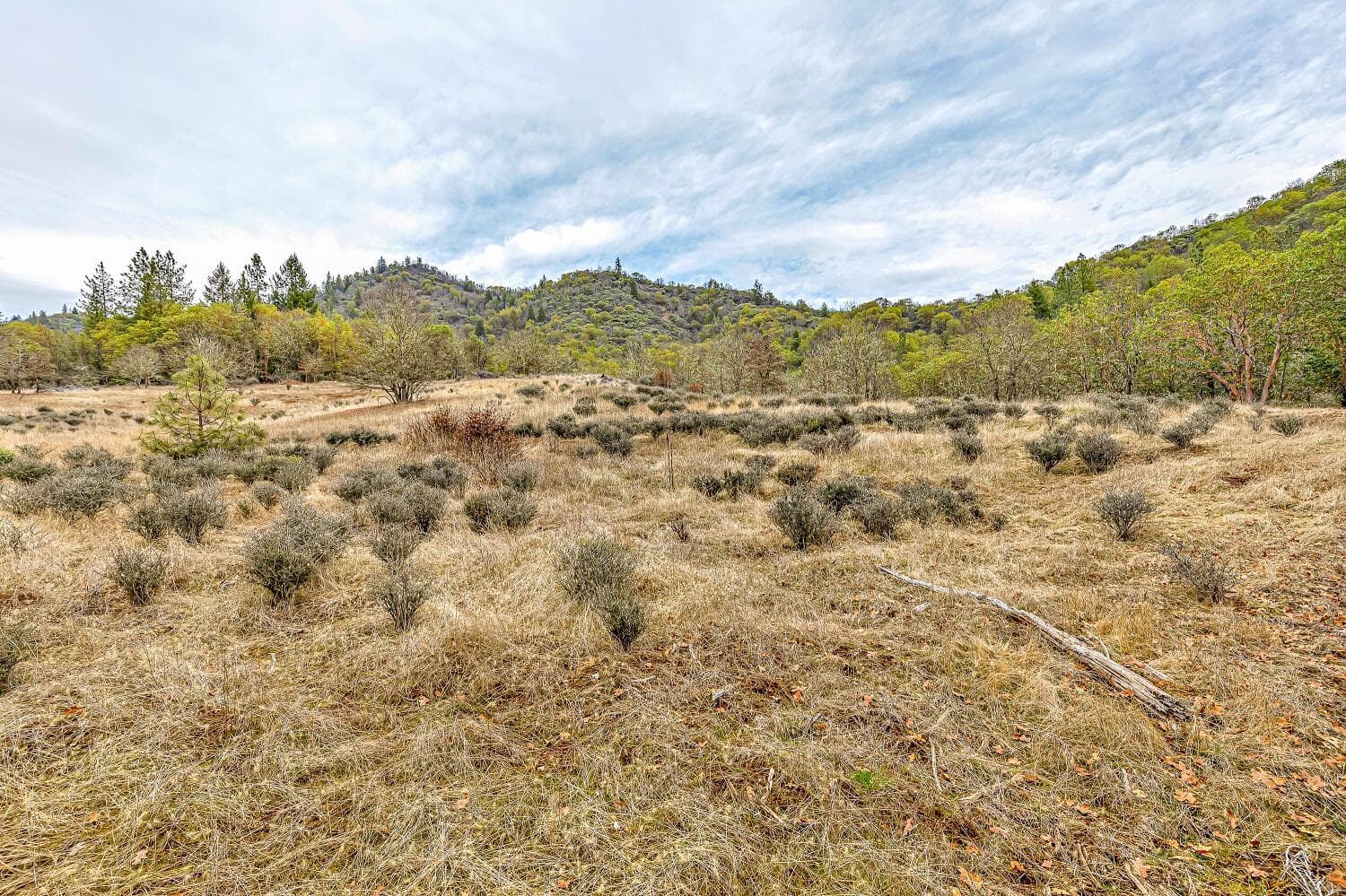 Photo of 0 Sykes Creek 4 of 15