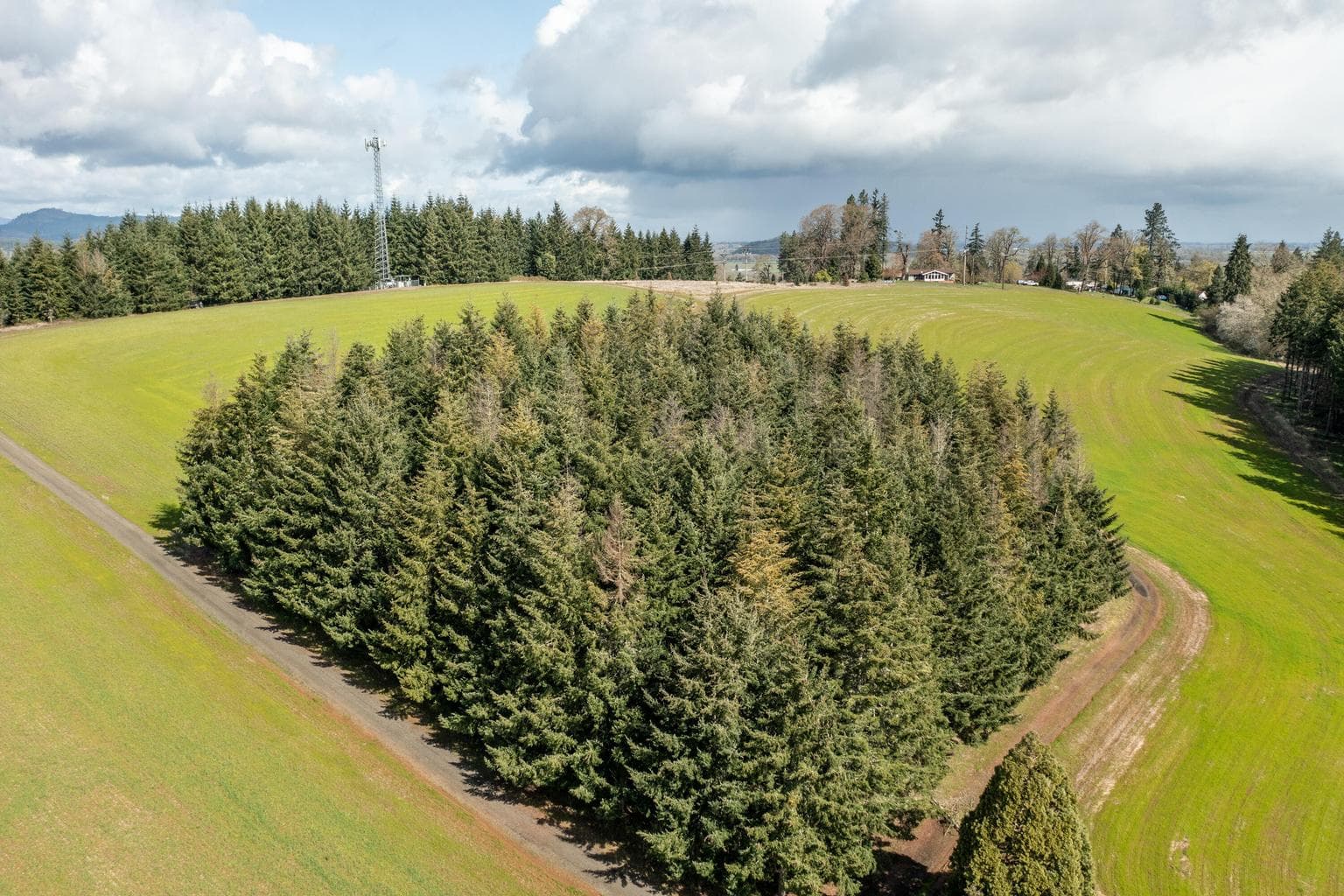 Photo of 92884 Applegate 4 of 28