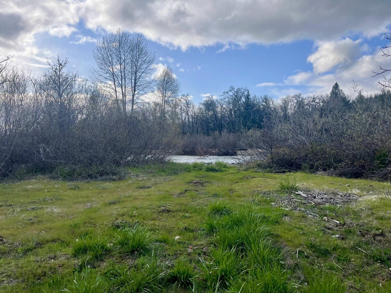 Photo of Lake Shore 3 of 20