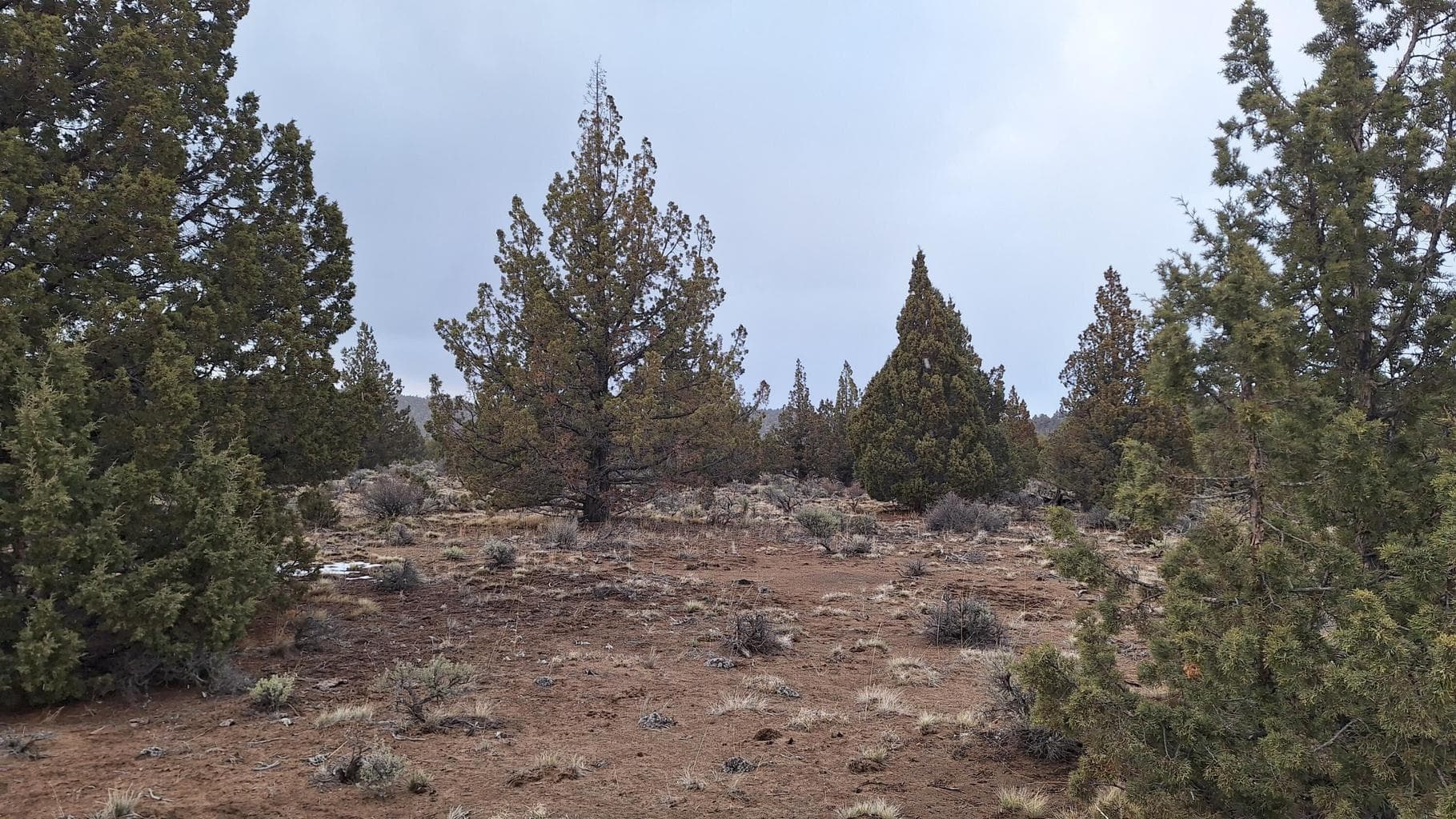 Lot 800 GoldenView Ranch