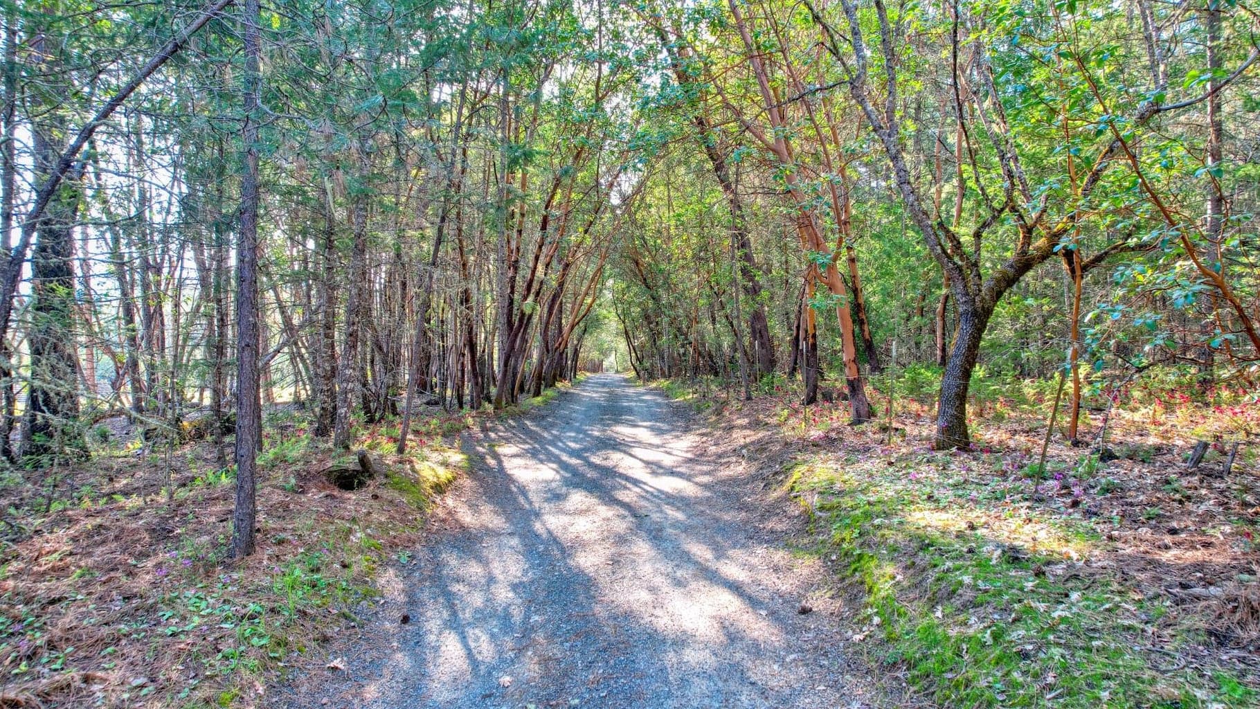 Photo of 858 Missouri Flat Road 2 of 39