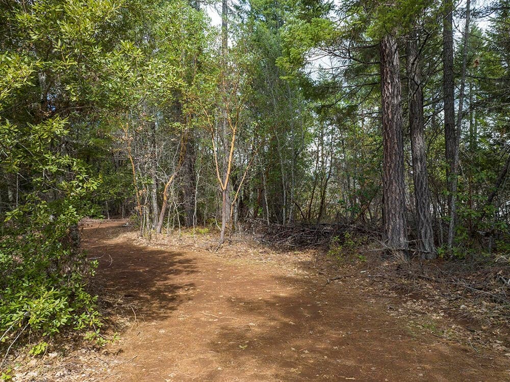 Photo of 234 Lurline 3 of 17
