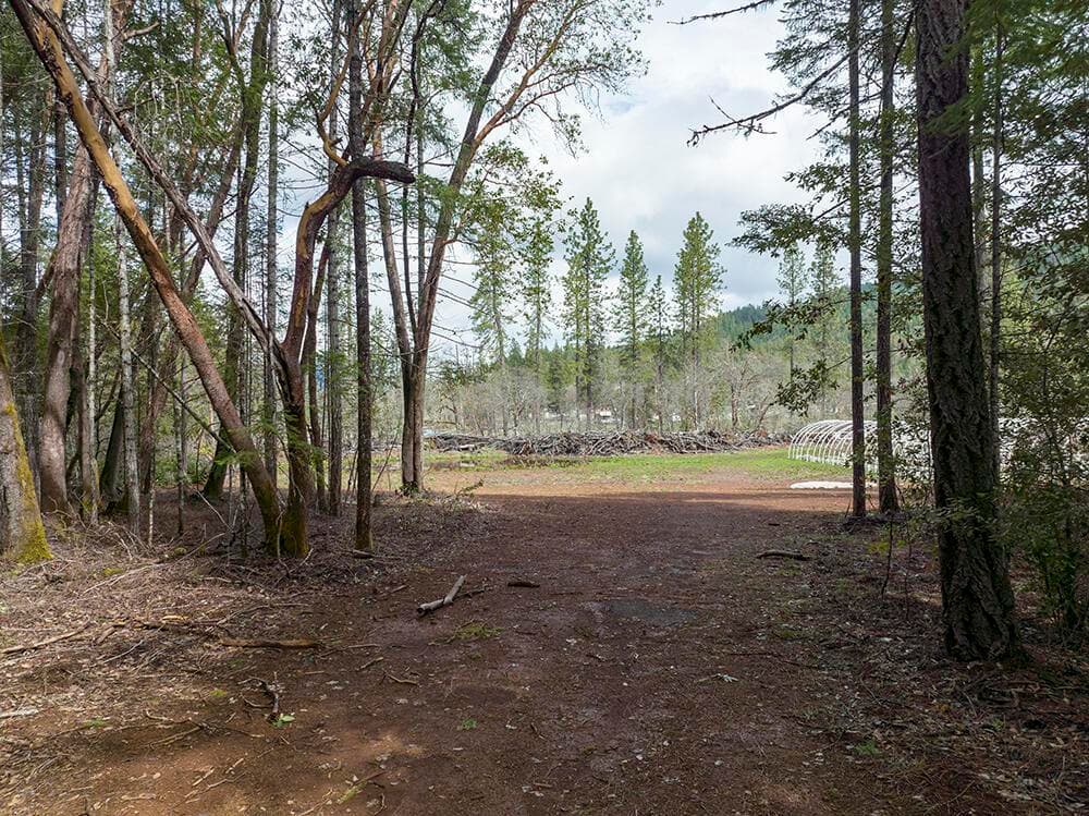 Photo of 234 Lurline 5 of 17