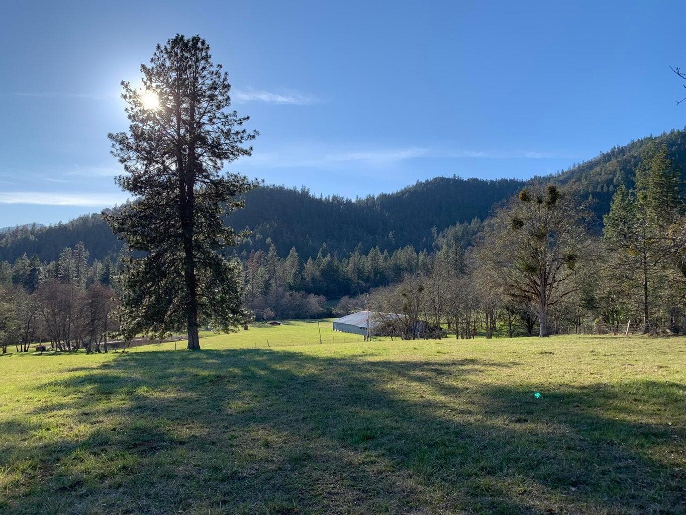 Photo of 858 Missouri Flat Road 1 of 39