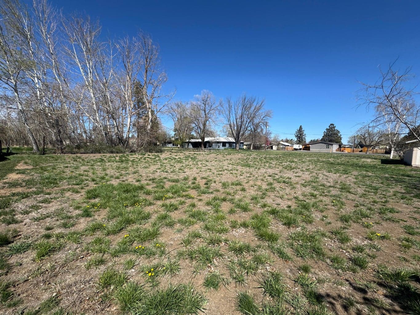 Photo of SW 21st Street 6 of 8