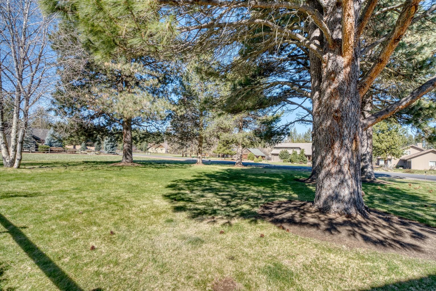 Shaded by Ponderosa Pine and Aspen trees.