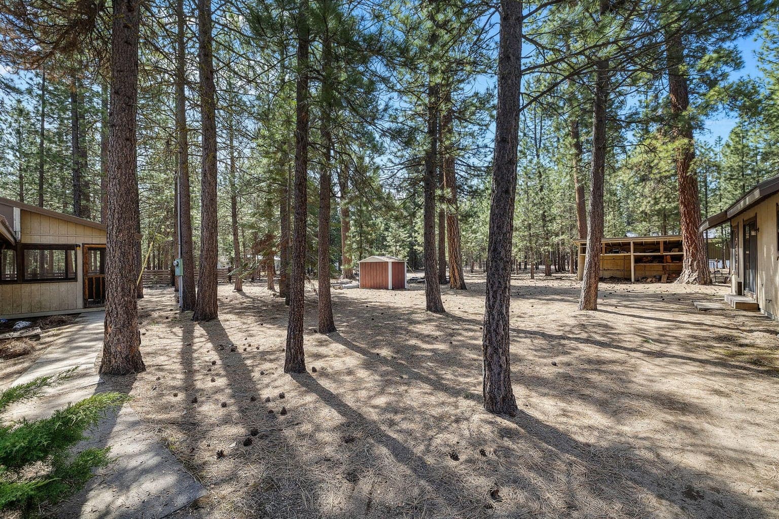 Fenced back yard