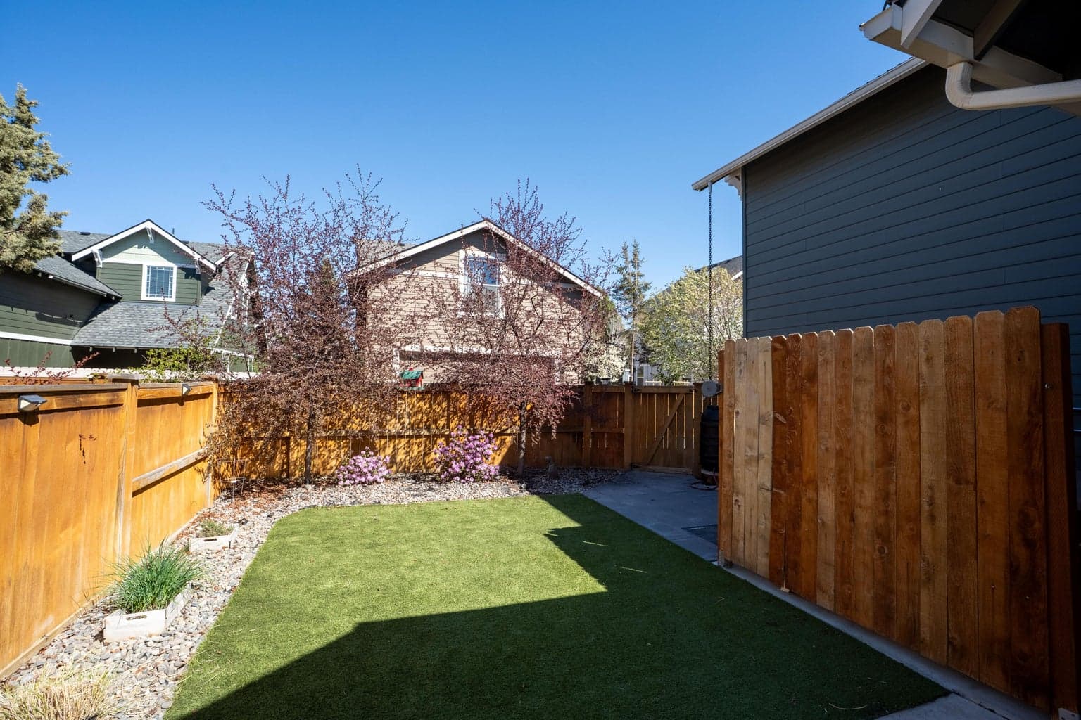 Trees and surrounding plants are watered by underground sprinklers on timer