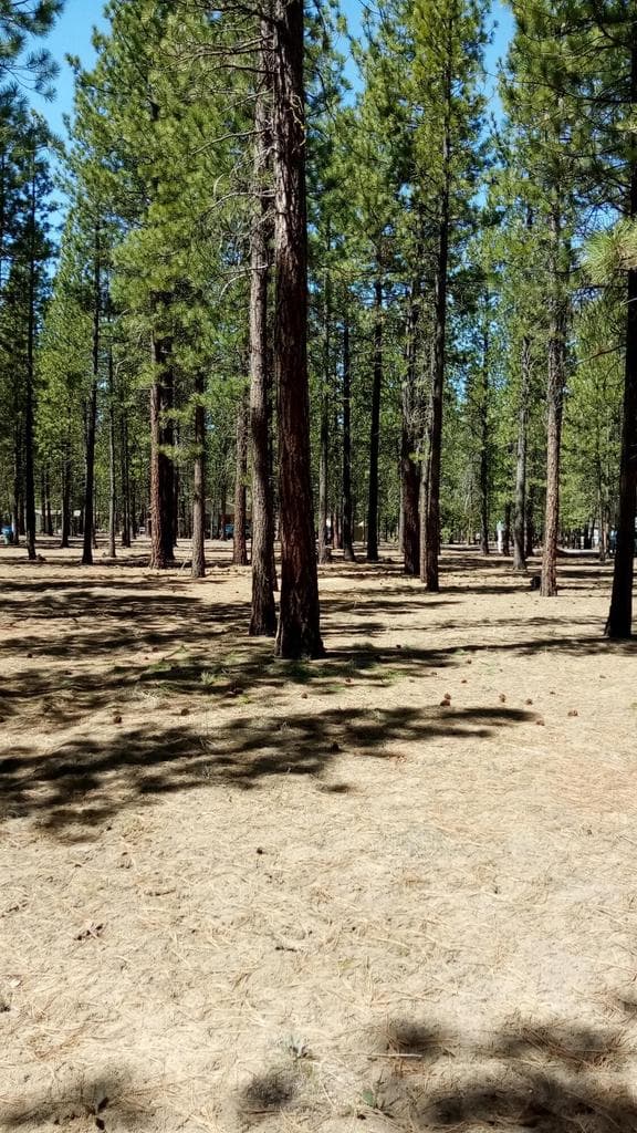 Photo of 52170 Ponderosa Way 7 of 11