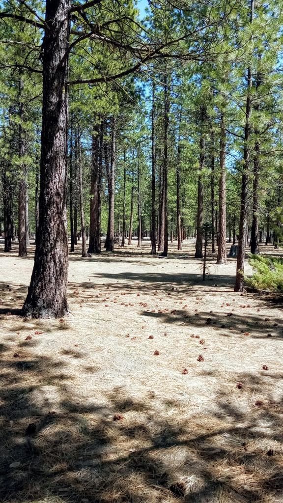 Photo of 52170 Ponderosa Way 9 of 11