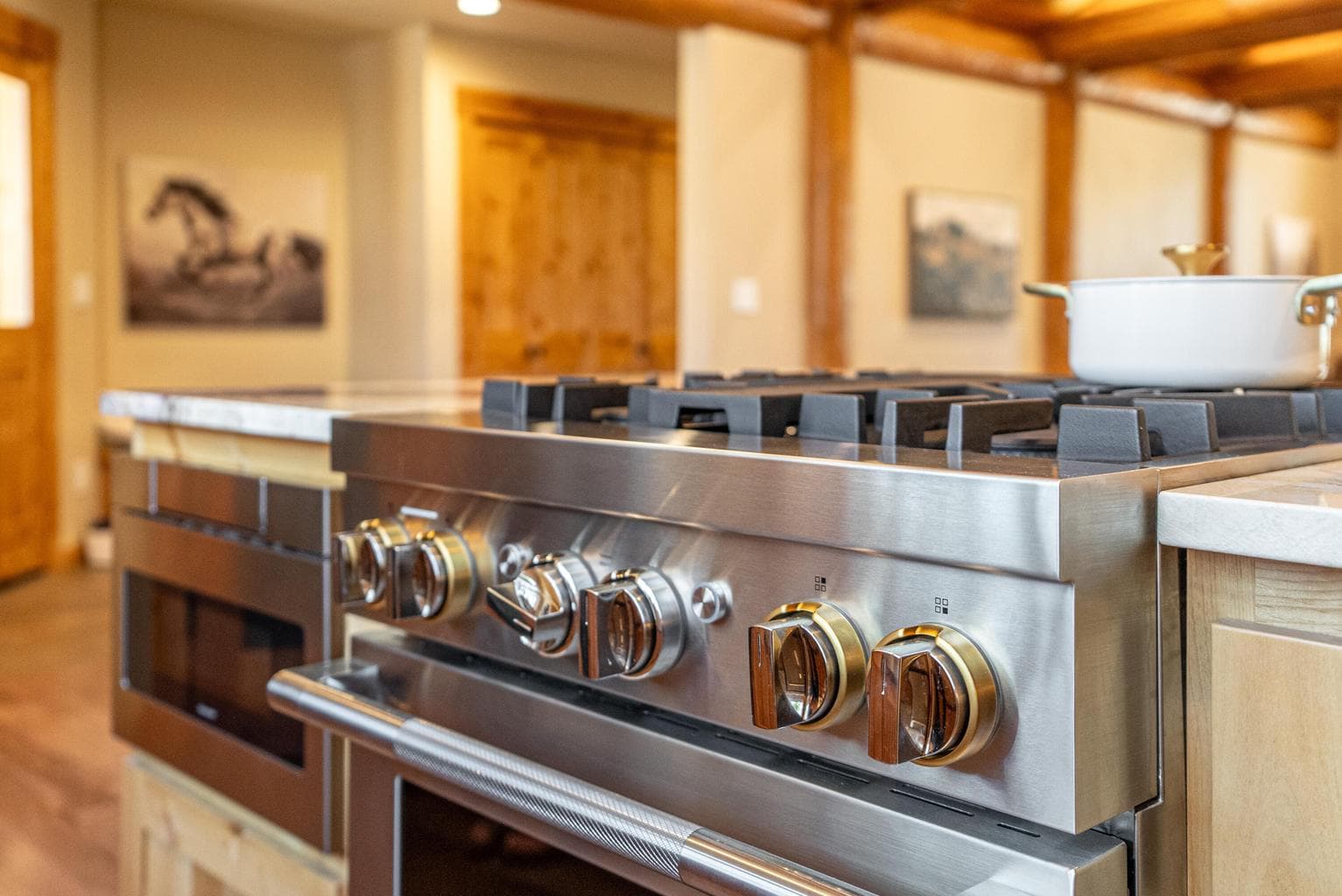 Propane range with downdraft