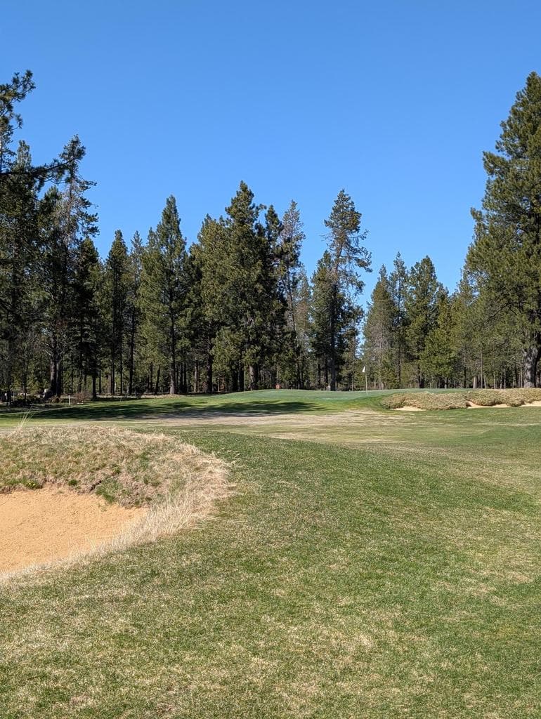12 hole approach of the outstanding Meadows Golf Course