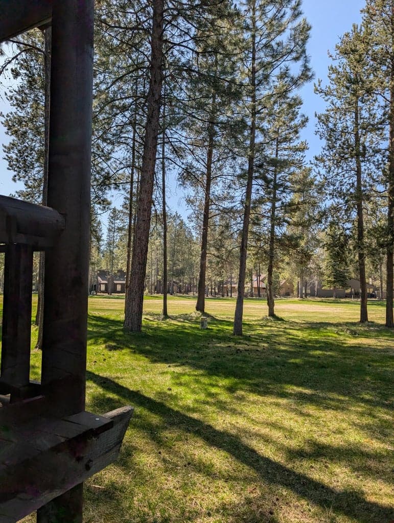 View to the 12th fairway of the Meadows GC