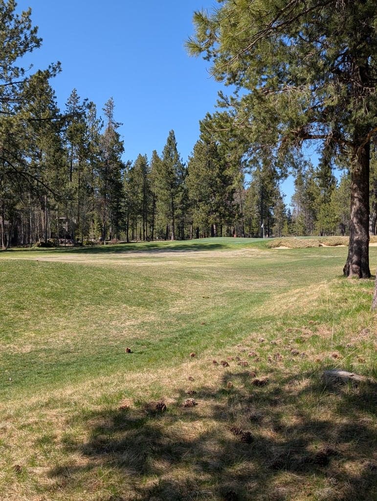 12th hole green!