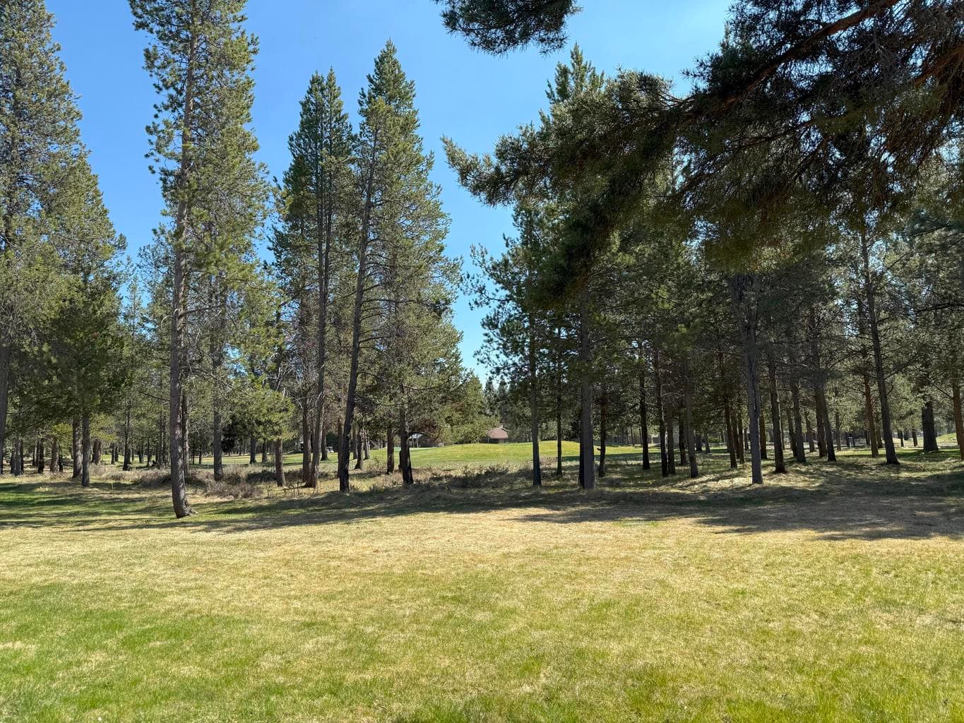 Photo of 17733 Meadow House Court 3 of 25
