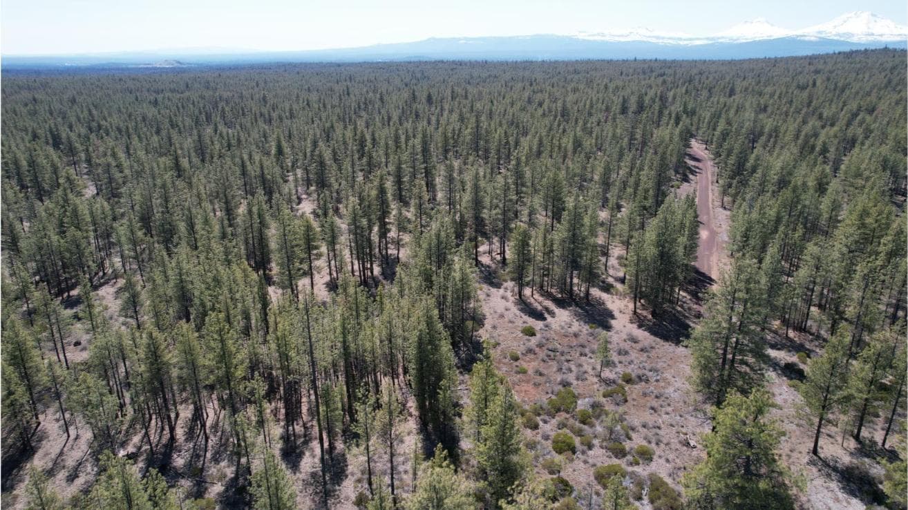 Photo of SW Grandview Loop Road 6 of 36