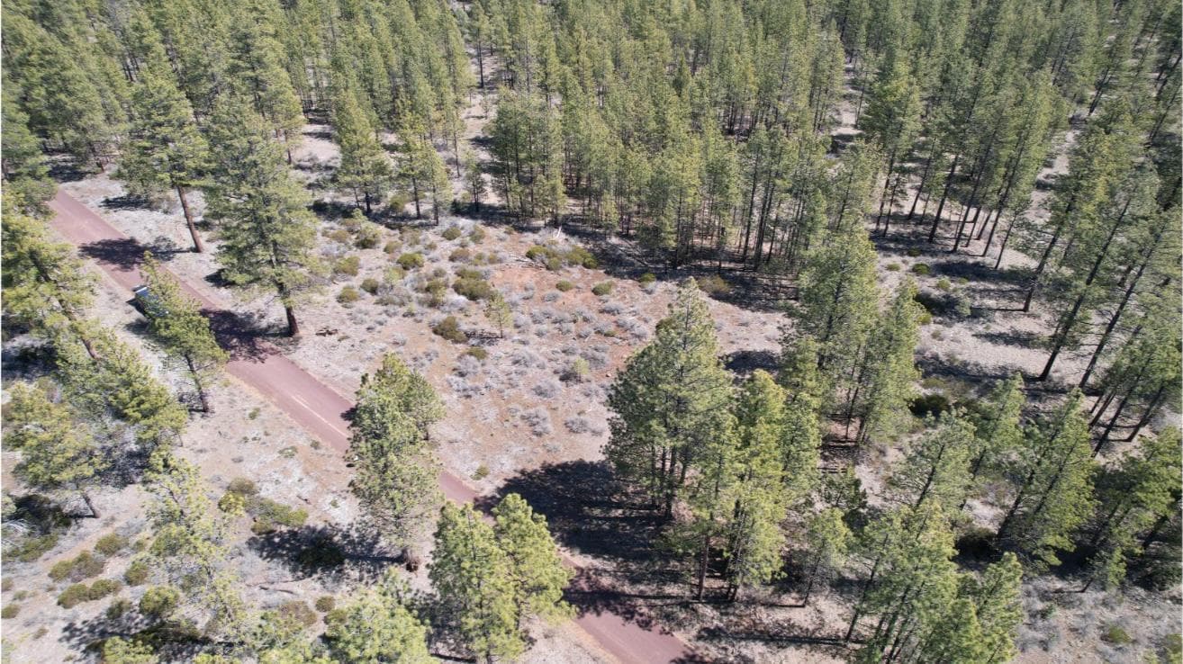 Photo of SW Grandview Loop Road 7 of 36