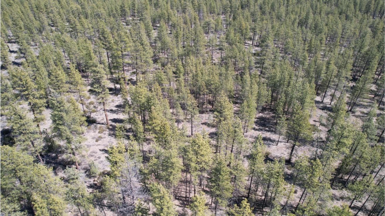 Photo of SW Grandview Loop Road 8 of 36