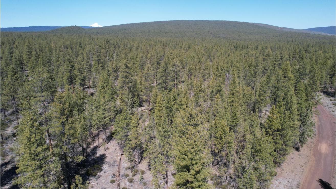Photo of SW Grandview Loop Road 9 of 36