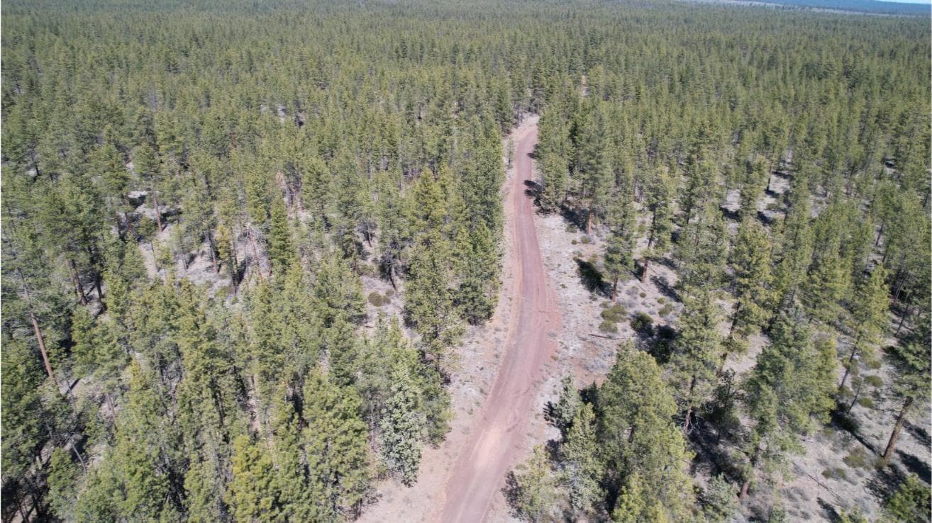 Photo of SW Grandview Loop Road 10 of 36