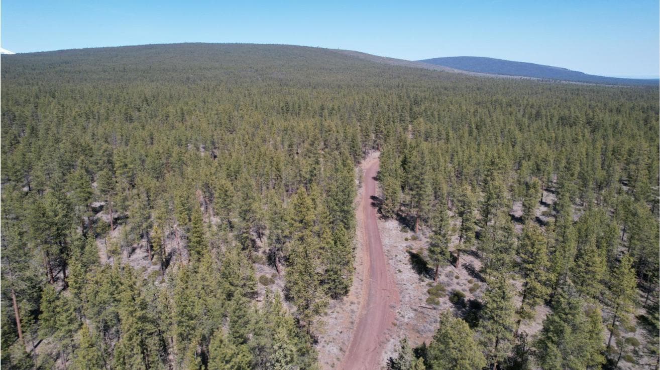 Photo of SW Grandview Loop Road 11 of 36