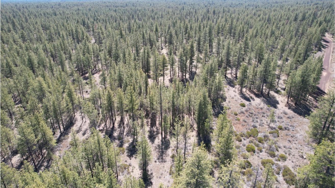 Photo of SW Grandview Loop Road 12 of 36