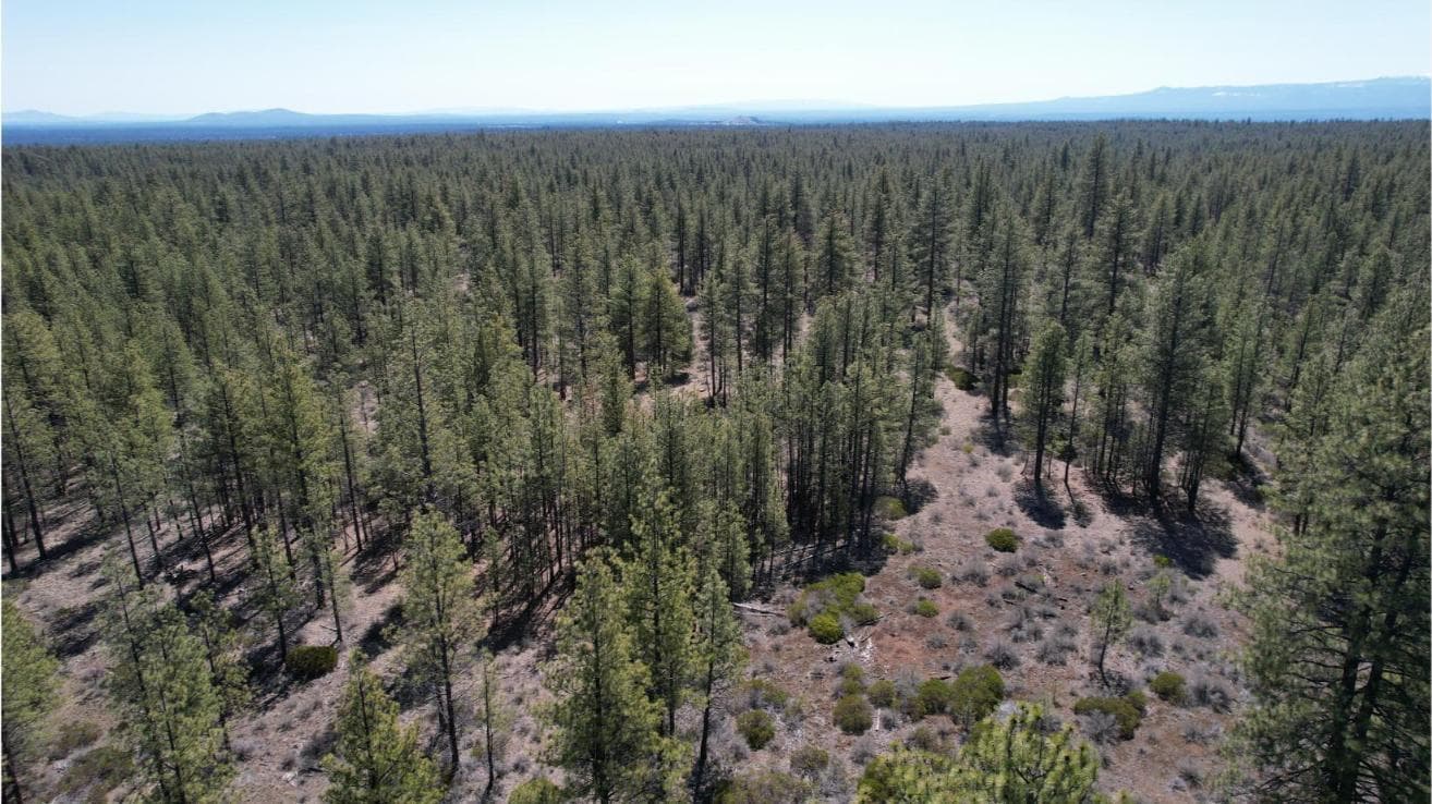 Photo of SW Grandview Loop Road 13 of 36
