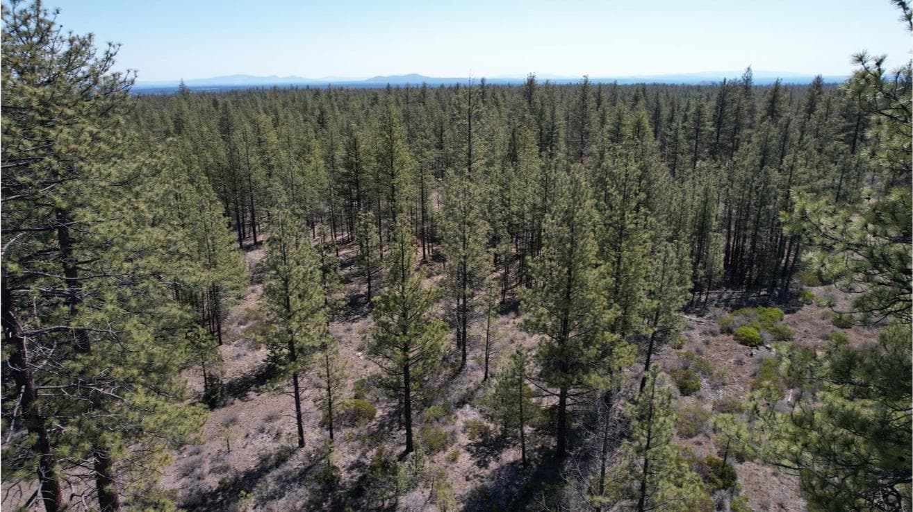Photo of SW Grandview Loop Road 14 of 36
