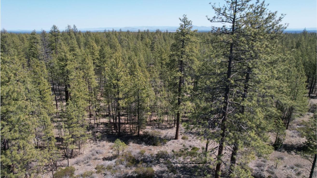 Photo of SW Grandview Loop Road 16 of 36