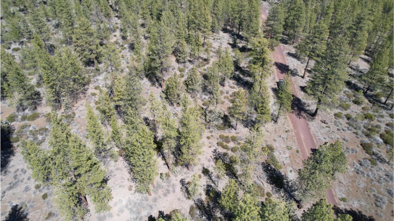 Photo of SW Grandview Loop Road 17 of 36