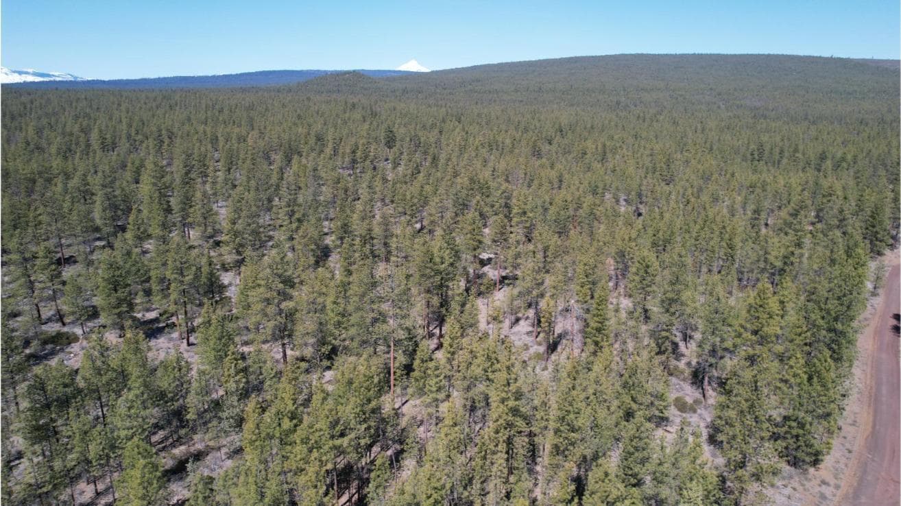 Photo of SW Grandview Loop Road 18 of 36