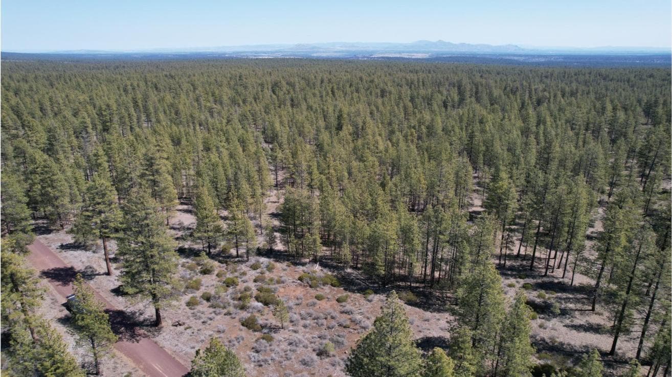 Photo of SW Grandview Loop Road 19 of 36