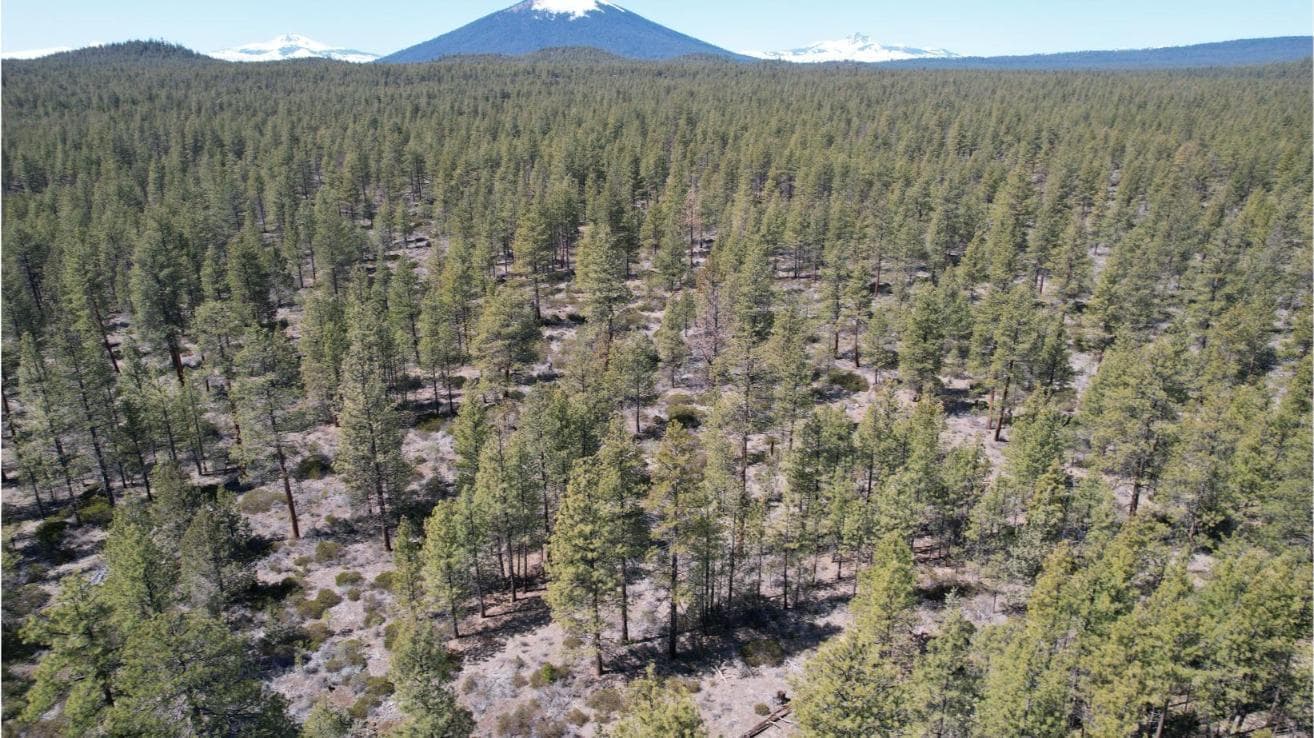 Photo of SW Grandview Loop Road 20 of 36