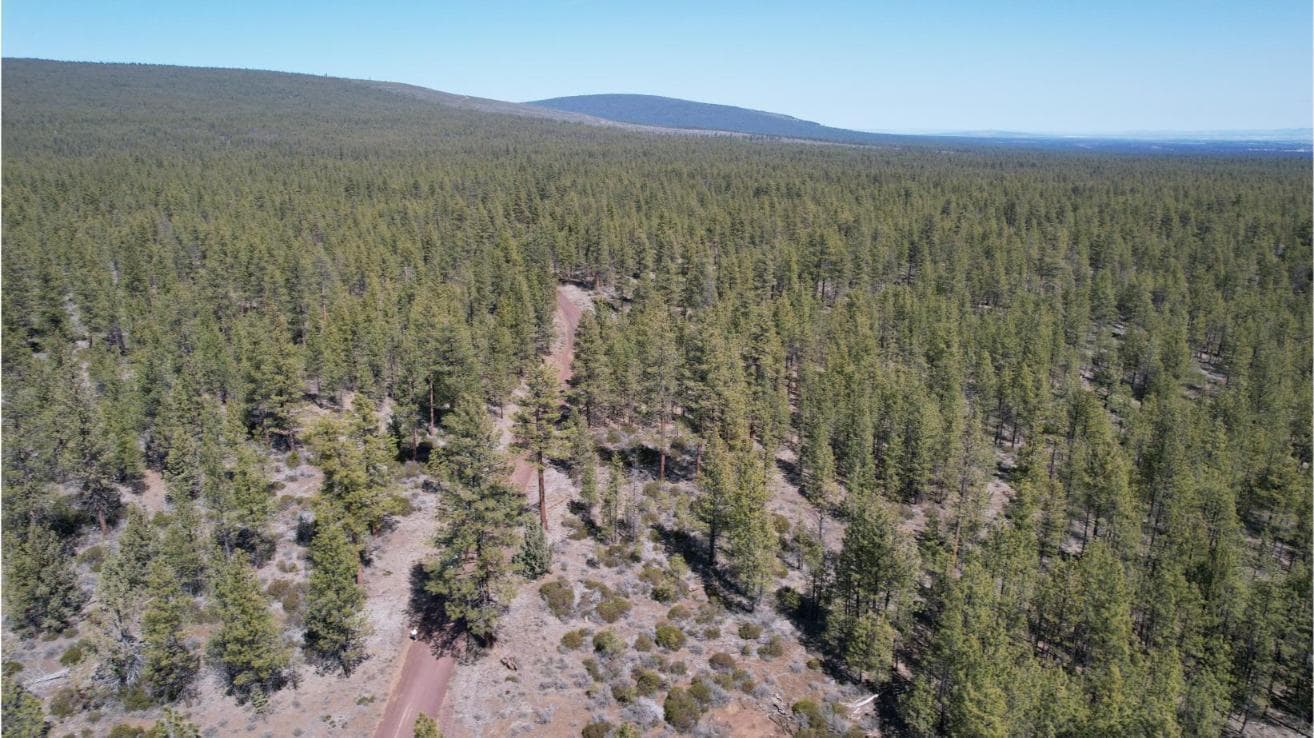 Photo of SW Grandview Loop Road 21 of 36