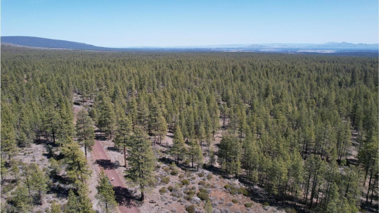 Photo of SW Grandview Loop Road 22 of 36