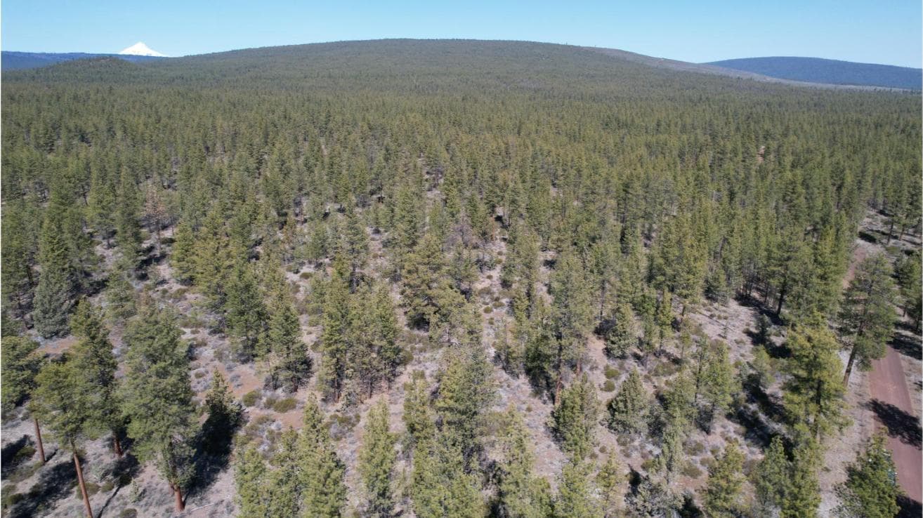 Photo of SW Grandview Loop Road 23 of 36