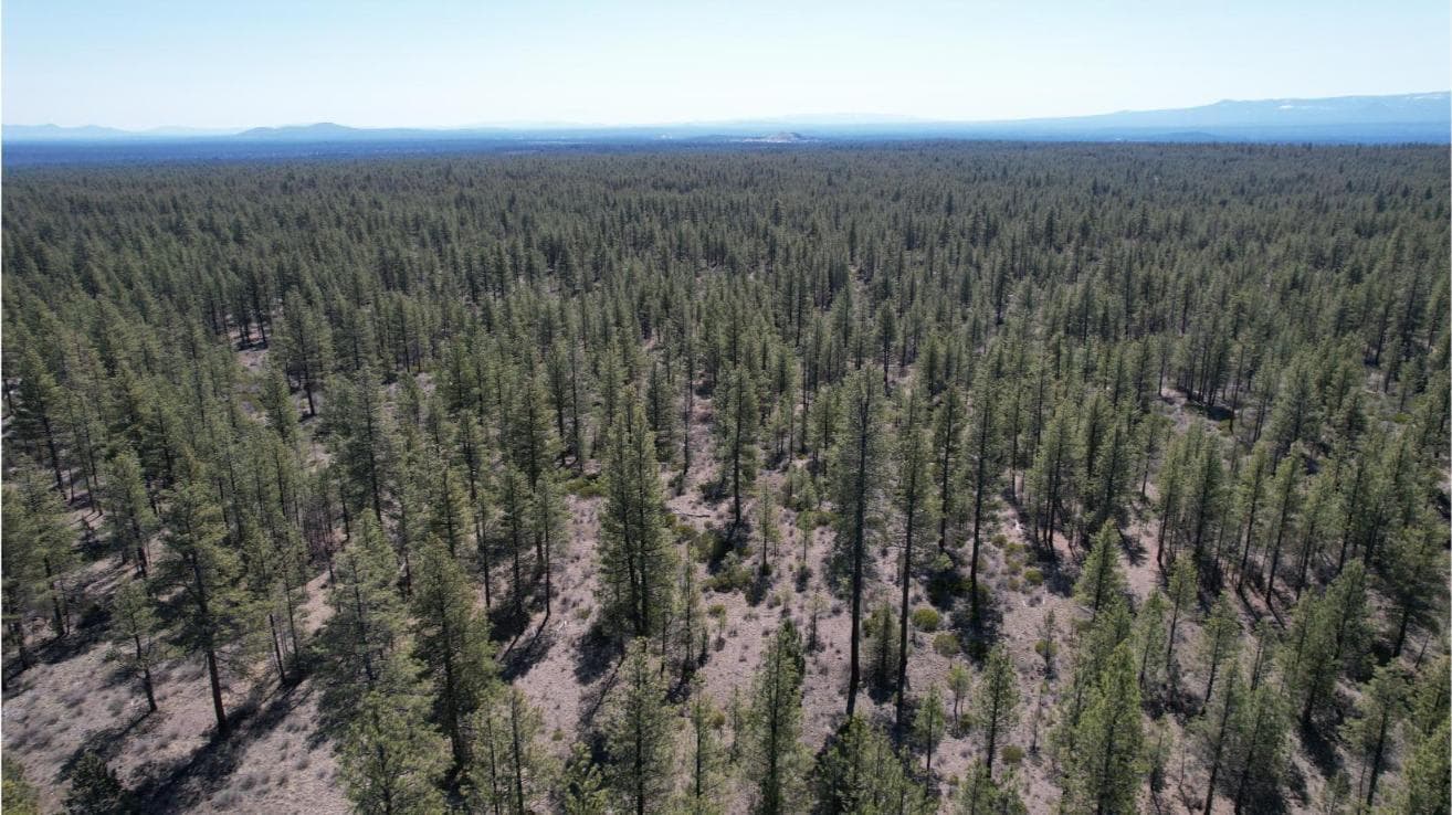 Photo of SW Grandview Loop Road 24 of 36