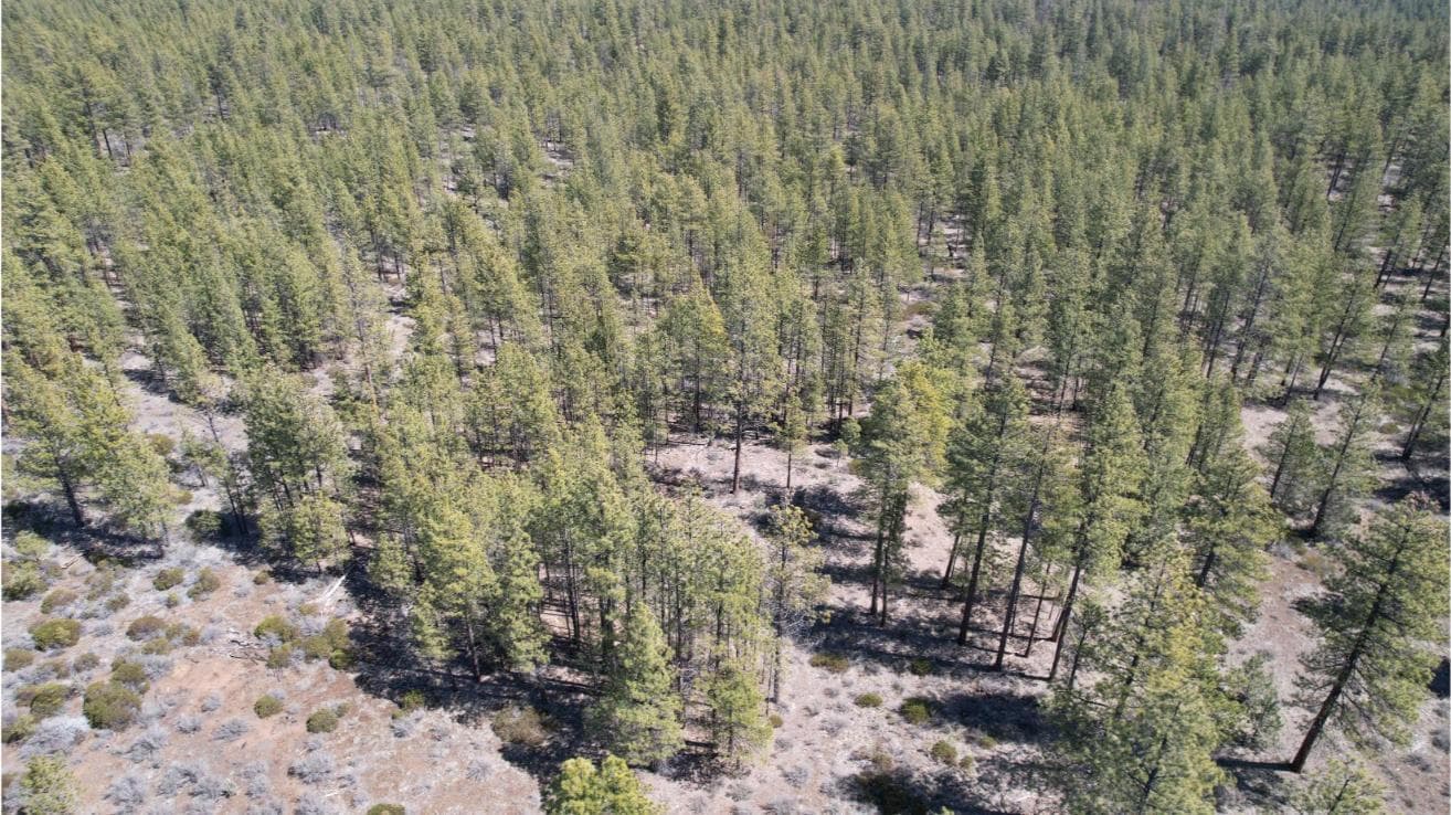 Photo of SW Grandview Loop Road 25 of 36