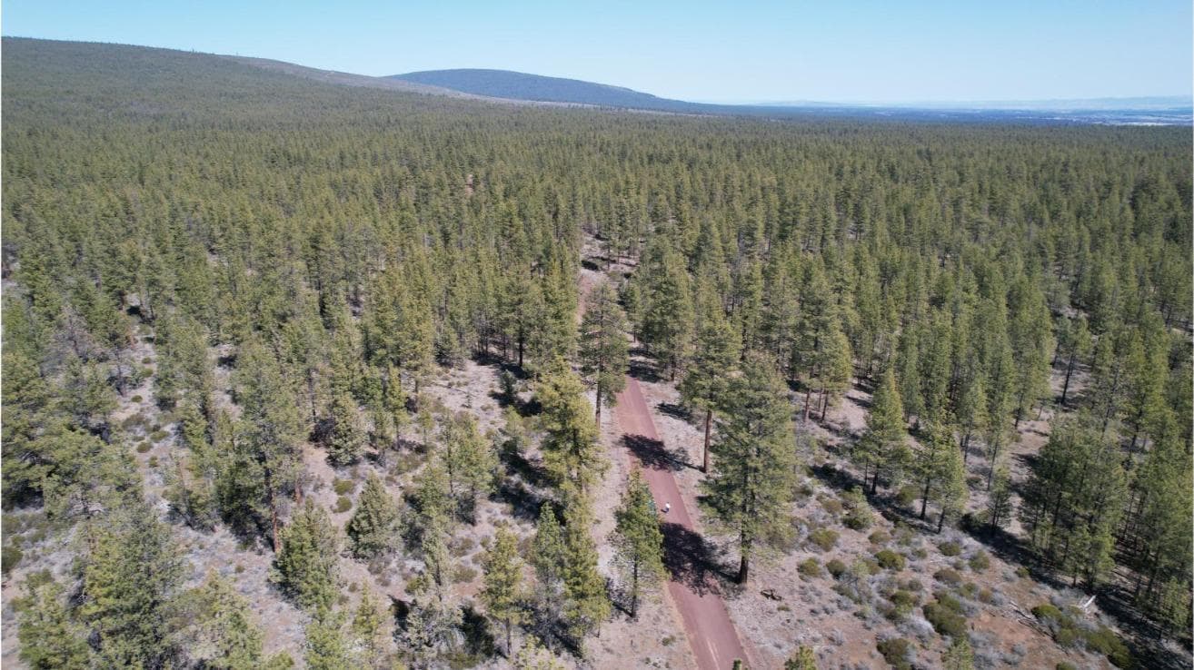Photo of SW Grandview Loop Road 26 of 36