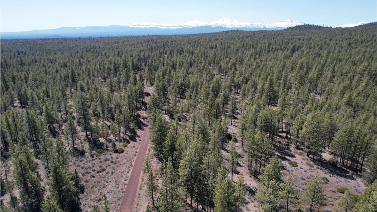 Photo of SW Grandview Loop Road 27 of 36