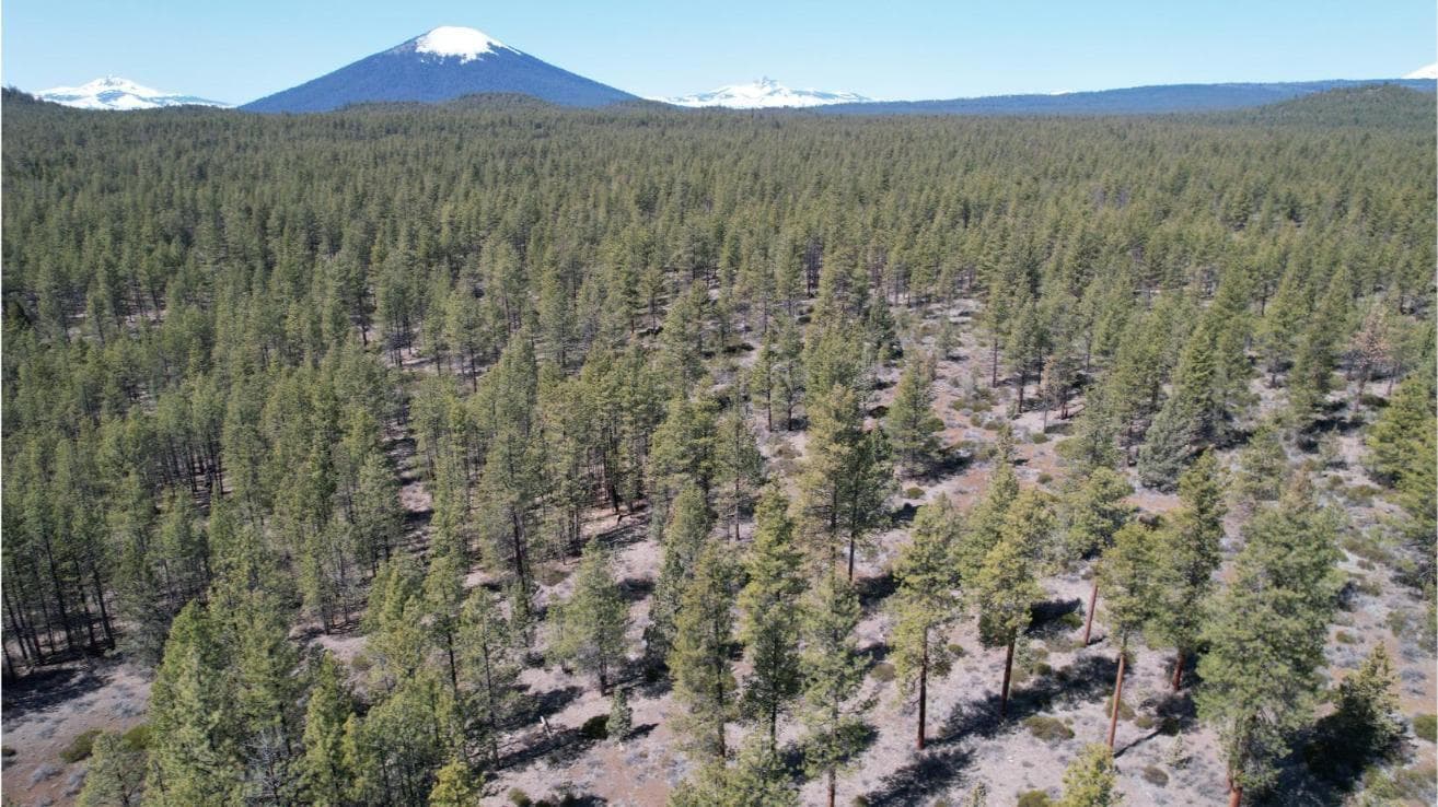 Photo of SW Grandview Loop Road 28 of 36