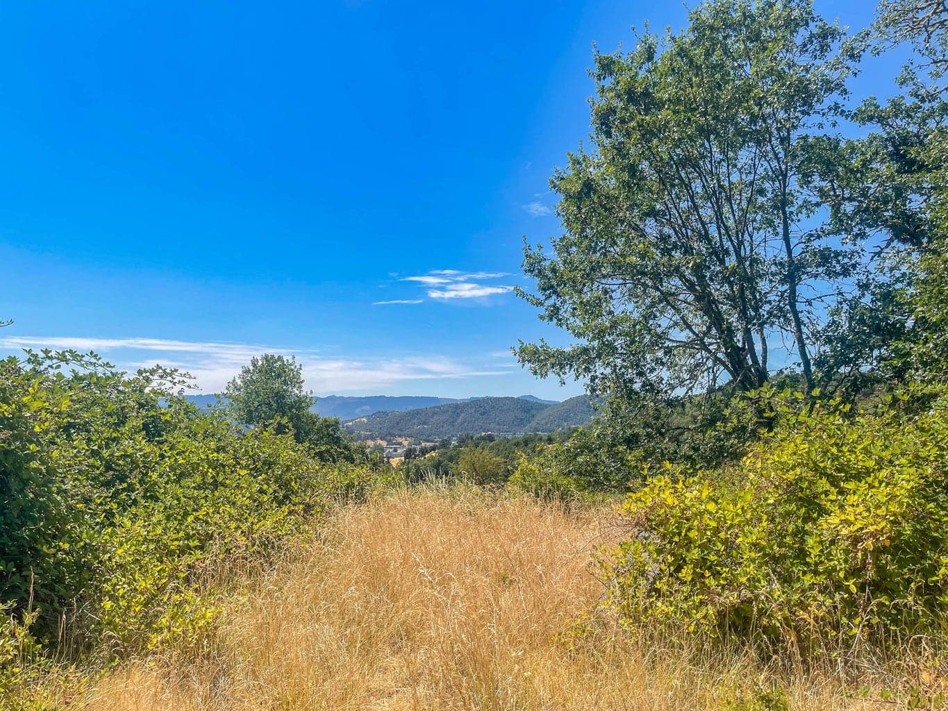 0 ALAMEDA