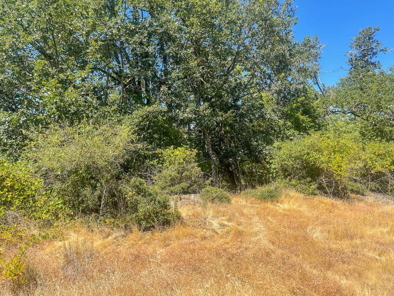 Photo of 0 ALAMEDA 3 of 19