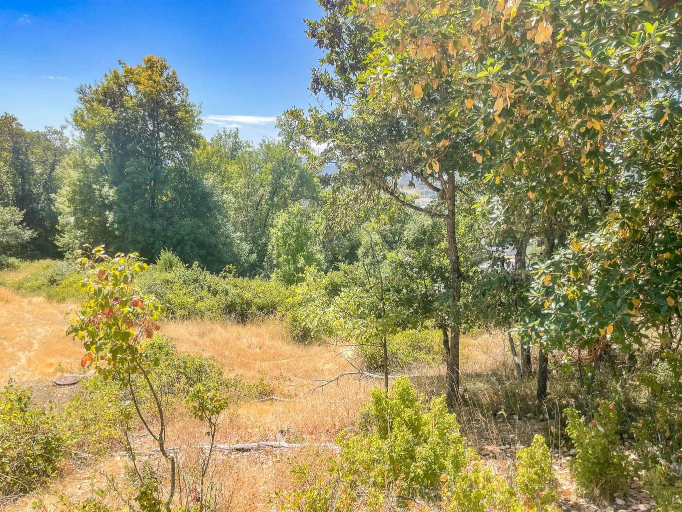 Photo of 0 ALAMEDA 5 of 19