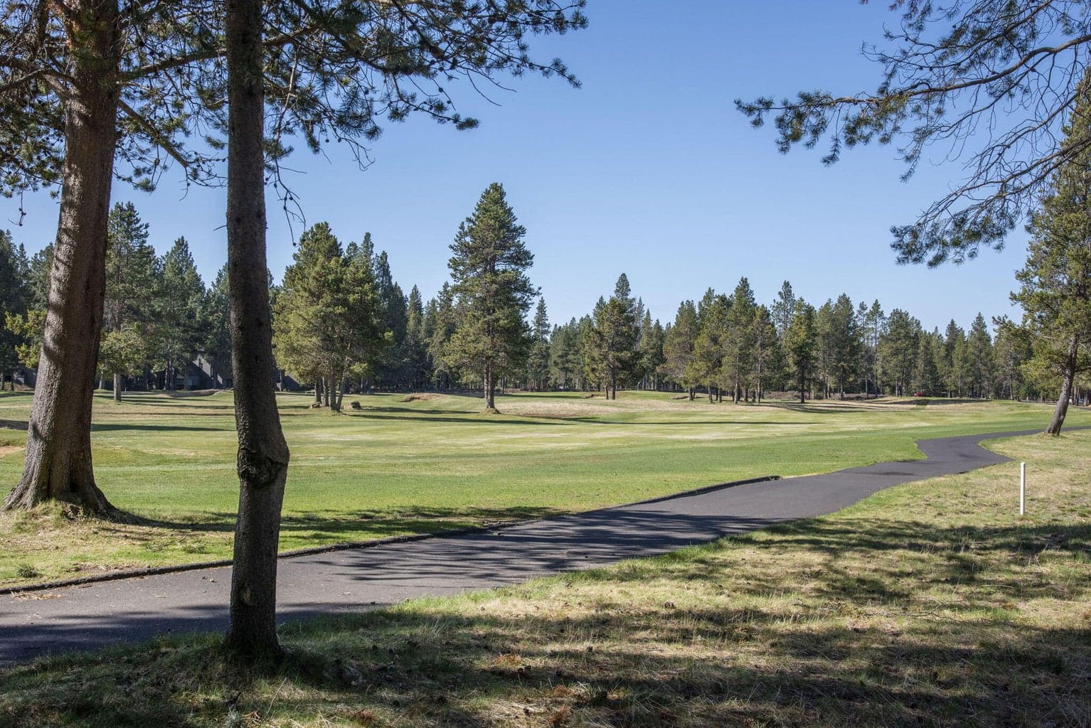 Photo of 17819 Fifteenth Tee Lane 23 of 30