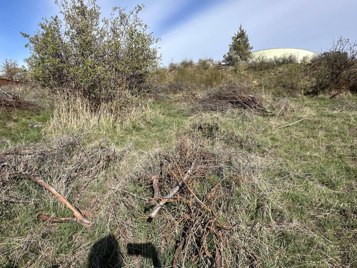 Photo of Lot 7 McKinley 4 of 12