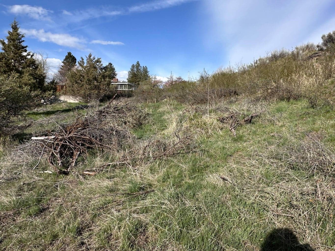 Photo of Lot 7 McKinley 3 of 12